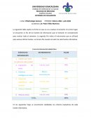 Esquemas Anatómicos - Oftalmología 1