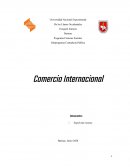 Comercio Internacional. Negociaciones Comerciales Multilaterales