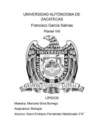 LÍPIDOS. Página 1