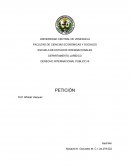 Peticion Comision interamericana de derechos humanos