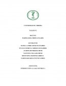 INTRODUCCION A LA SALUD PUBLICA