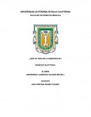 ¿Qué es para mí la democracia? Derecho electoral