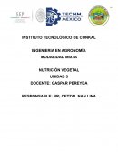 TOPICO 3 NUTRICIÓN VEGETAL