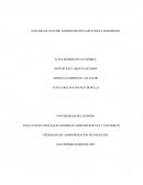 ANÁLISIS DE ESTUDIO ADMINISTRATIVO APLICADO A JENKISHOES