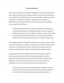 Desarrollo profesional