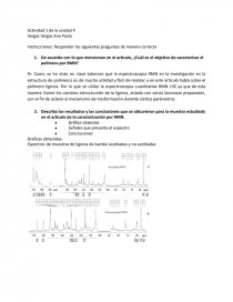 REACTOR MAGNETICO NUCLEAR. Página 1