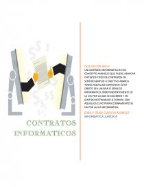 CONTRATOS INFORMATICOS. Página 1