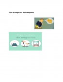 Plan de negocios de la empresa