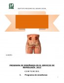 PROGRAMA DE ENSEÑANZA EN EL SERVICIO DE NEFROLOGÍA 2012