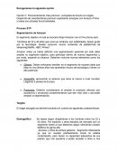 Proceso STP Segmentación de Amazon