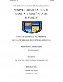 INFORME DE LABORATORIO: LEY DE HOOKE