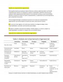 Modelos de comportamiento organizacional