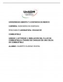 SIMULACION DEL FLUJO DE COMBUSTIBLE A TRAVES DE CANALES DE UNA CELDA DE COMBUSTIBLE