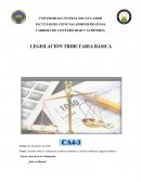 Consulta sobre la Tributación, política económica y política tributaria, ingresos públicos