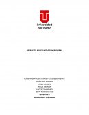 Análisis de medidas tomadas por el gobierno para tratar de solucionar el tema de la pandemia