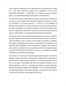 Construccion de las matematicas a lo largo de la vida