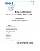 Resumen ejecutivo integrador VF