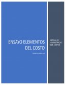 Ensayo Elementos del costo