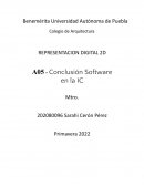 CONCLUSION SOFTWARE EN LA IC