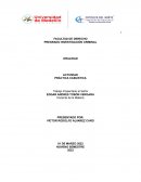 PRÁCTICA CASUISTICA