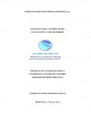 PROPUESTA GROUND HANDLING AERODINOS S.A.S