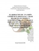 ELABORACION DE UN JABÓN COSMÉTICO ARTESANAL