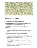 La composición de los seres vivos