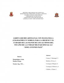 Proyecto de jabon liquido. Página 1