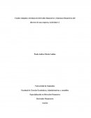 Cuadro sinóptico; términos de derivados financieros y funciones financieras del director de una empresa