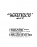 AMplificadores de red