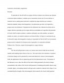 Laboratorio electricidad y magnetismo