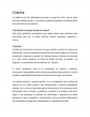 Cisteína