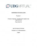 Producto integrador. Transformación digital de las organizaciones