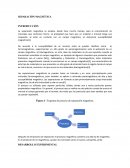 Separación magnetica