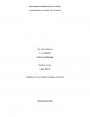 Las Diversas Concepciones del Curriculum