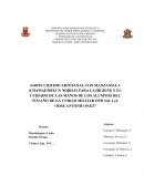 Proyecto de jabon liquido