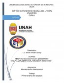 Proyecto MKT internacional