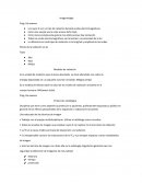 Temario imageneologia