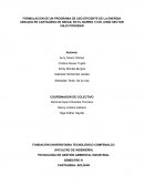 FORMULACION DE UN PROGRAMA DE USO EFICIENTE DE LA ENERGIA