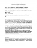 RESUMEN CONTROL INTERNO NIA-IMCP