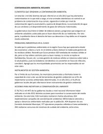 CONTAMINACION AMBIENTAL RESUMEN. Página 1