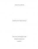 ENSAYO FINAL DERECHO