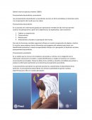 Procesamiento descendente y ascendente