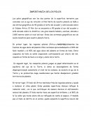IMPORTANCIA DE LOS POLOS