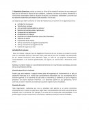 Diagnostico de la empresa