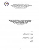 BENEFICIOS QUE APORTA LA PLANTA El NONI (MORINDA CITRIFOLIA) A LAS PERSONAS DE LA TERCERA EDAD