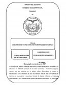 INFLUENCIA DE LAS ARMADAS