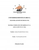 MATERIA TEORÍAS DEL DESARROLLO Y LA APLICACIÓN EN SU VIDA