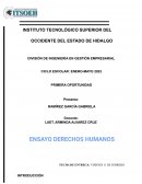 Ensayo de derechos humanos