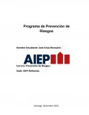 PROGRAMA DE PREVENCION DE RIESGOS